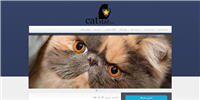 فروشگاه کت استار